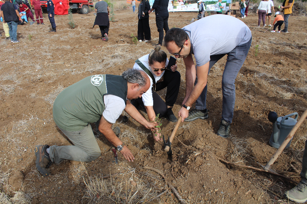 11.11.2023 DATÇA Milli AĞAÇLANDIRMA GÜNÜ 1200 FİDAN