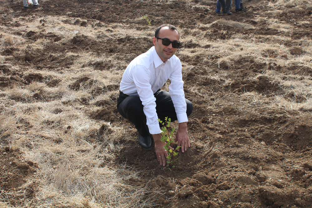 11.11.2023 DATÇA Milli AĞAÇLANDIRMA GÜNÜ 1200 FİDAN