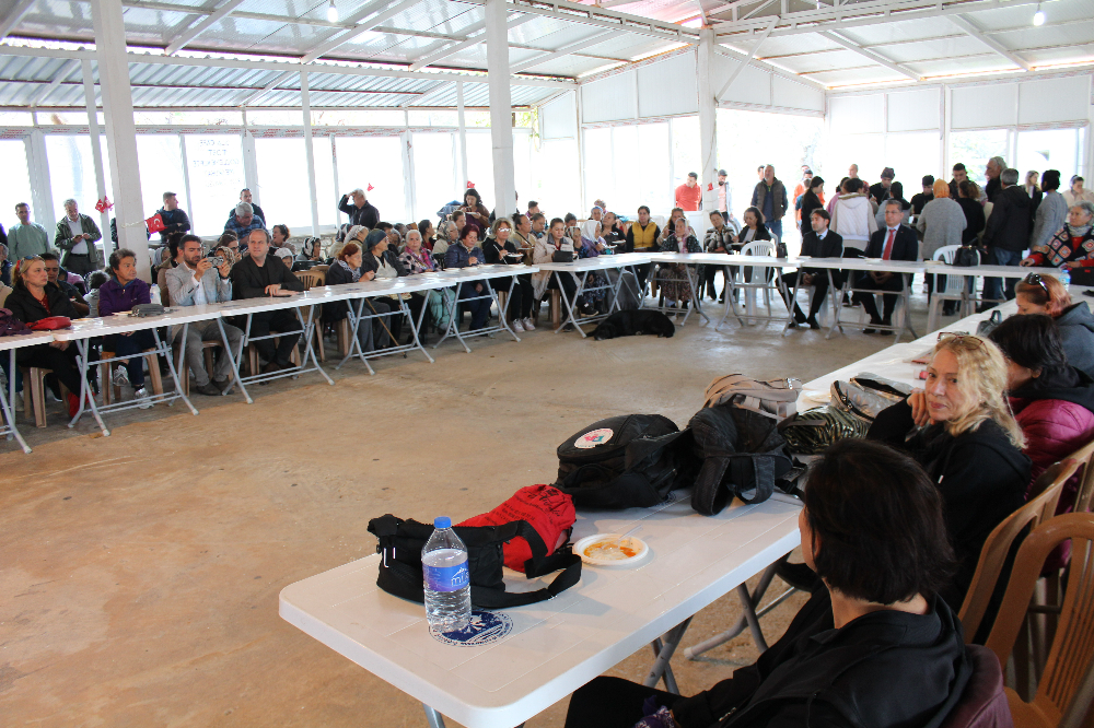 DATÇA ŞARKILARI TANITIM ETKİNLİĞİ