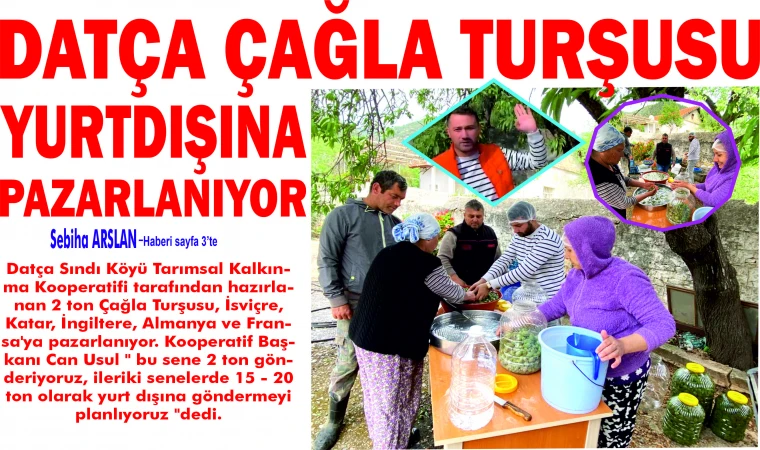 DATÇA ÇAĞLA TUR­ŞU­SU YURT­DI­ŞI­NA PA­ZAR­LA­NI­YOR