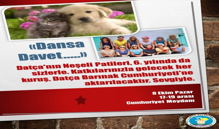 DATÇA NEŞELİ PATİLER SOKAK HAYVANLARI İÇİN DANS EDECEK