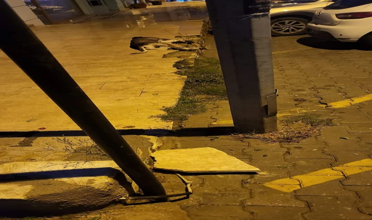 ELEKTRİK AKIMINA KAPILAN KÖPEK ÖLDÜ!