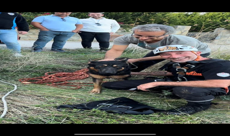 KUYUYA DÜŞEN KÖPEK KURTARILDI