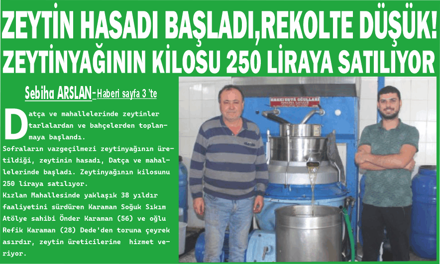 ZEYTİN HASADI BAŞLADI,REKOLTE DÜŞÜK!ZEYTİNYAĞININ KİLOSU 250 LİRAYA SATILIYOR