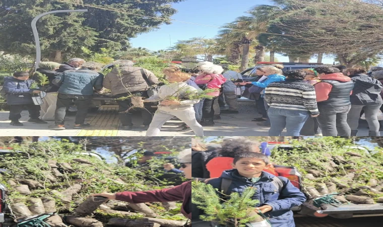 Datça'da Dünya Ormancılık gününde 2000 fidan dağıtıldı