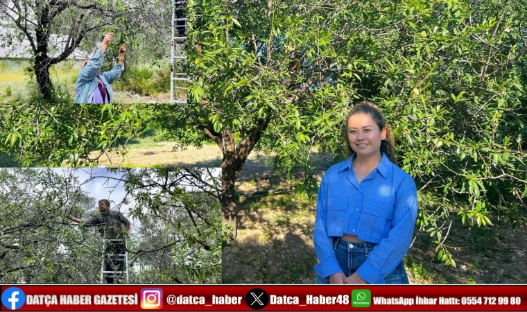 Çağla Hasadı Sezonu Kapanış Yaptı!