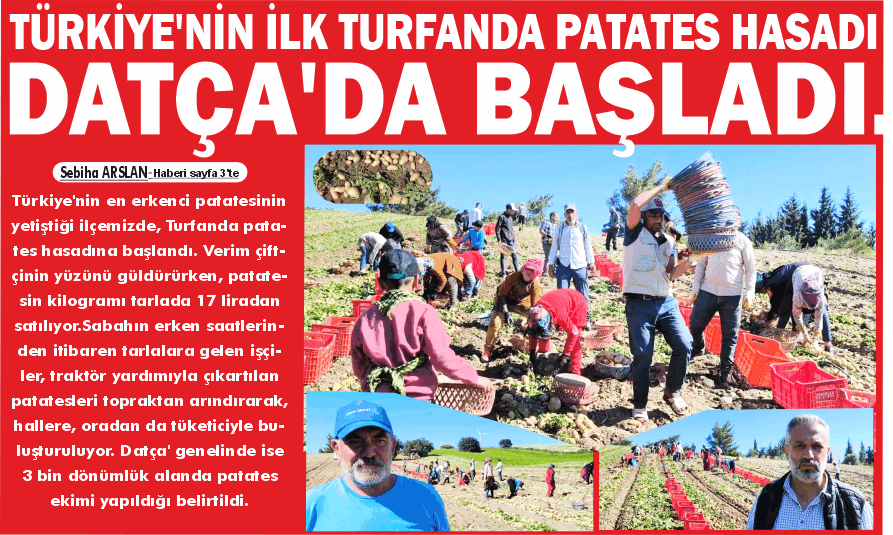 TÜR­Kİ­YE'NİN İLK TUR­FAN­DA PA­TA­TES HA­SA­DI DATÇA'DA BAŞ­LA­DI.