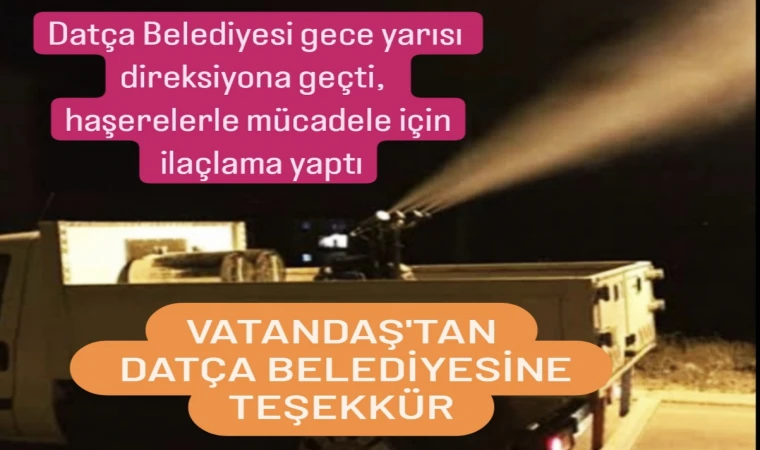 Datça Belediyesi gece yarısı direksiyona geçti, haşerelerle mücadele için ilaçlama yaptı.