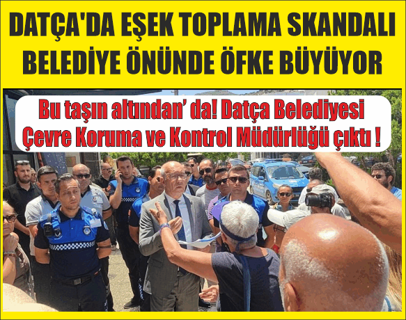 DATÇA'DA YABAN EŞEKLERİNİN ‘’İŞKENCE’’ MUAMELESİ İLE TOPLATILMASINA TEPKİ YAŞAM SAVUNUCULARI BELEDİYE ÖNÜNDE PROTESTODA