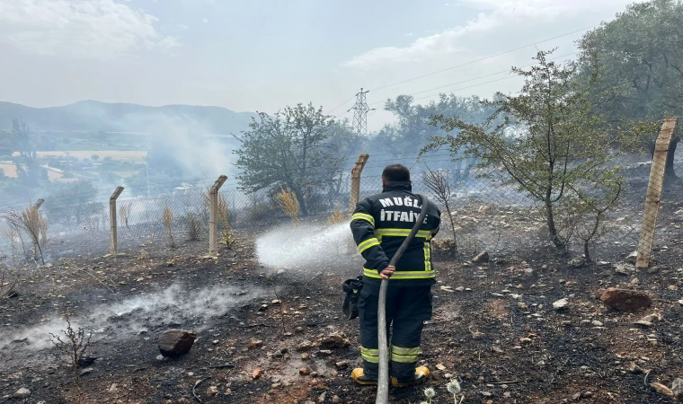 MUĞLA'DA ANIZ YANGINLARINA KARŞI ALARM: 6 AYDA 380 MÜDAHALE