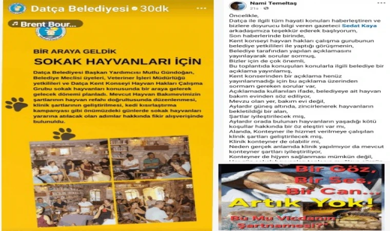 DATÇA’DA SOKAK HAYVANLARI İÇİN TOPLANTI: SORULAR CEVAPSIZ, ŞEFFAFLIK YOK