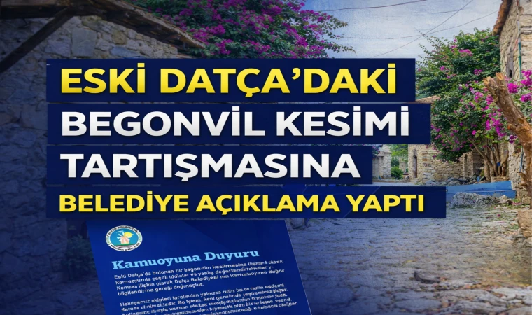 Begonvil Kesimi Tartışması Büyüdü Belediye Açıklama Yaptı