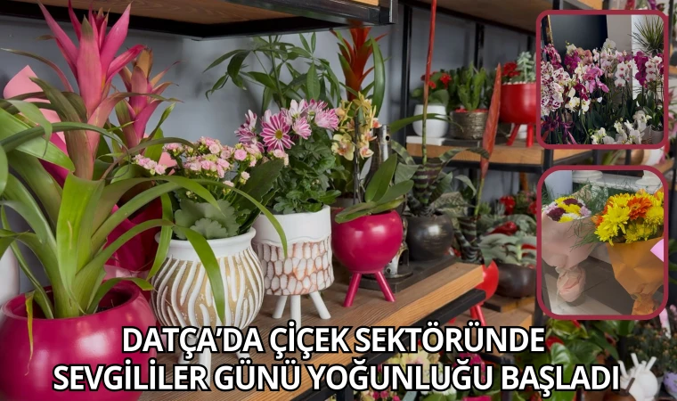 DATÇA’DA ÇİÇEK SEKTÖRÜNDE SEVGİLİLER GÜNÜ YOĞUNLUĞU BAŞLADI