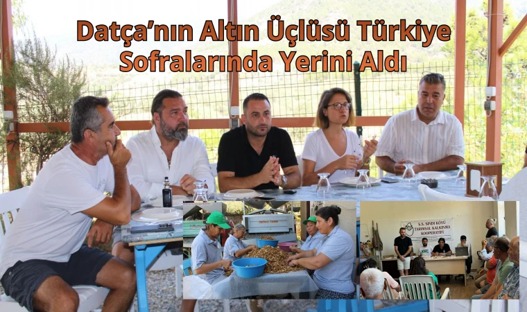 Datça’nın Altın Üçlüsü Türkiye Sofralarında Yerini Aldı