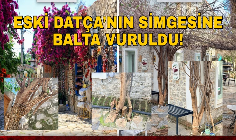 ESKİ DATÇA’NIN SİMGESİNE BALTA VURULDU!