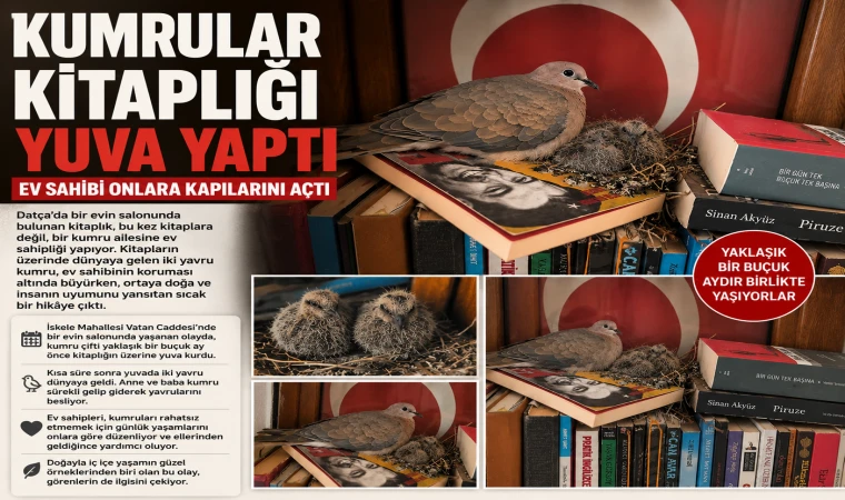 KUMRULAR KİTAPLIĞI YUVA YAPTI, EV SAHİBİ ONLARA KAPILARINI AÇTI