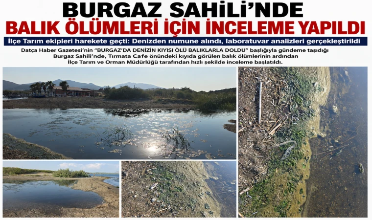 BURGAZ SAHİLİ’NDE BALIK ÖLÜMLERİ İÇİN İNCELEME YAPILDI