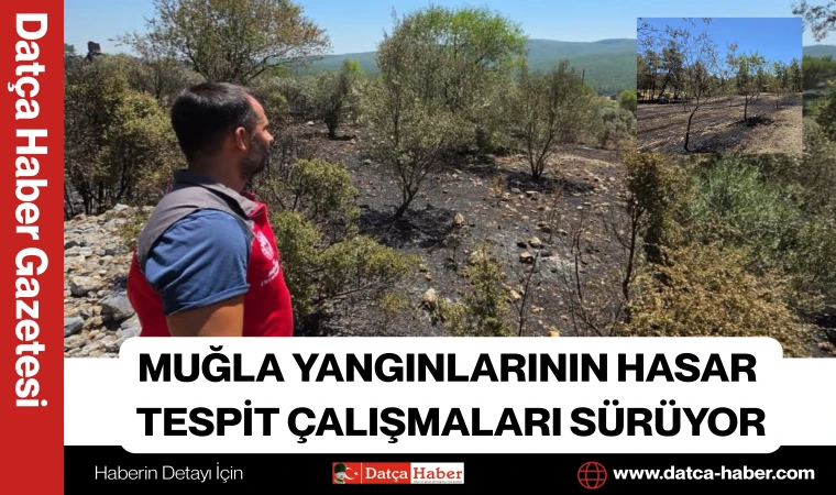 MUĞLA YANGINLARININ HASAR TESPİT ÇALIŞMALARI SÜRÜYOR