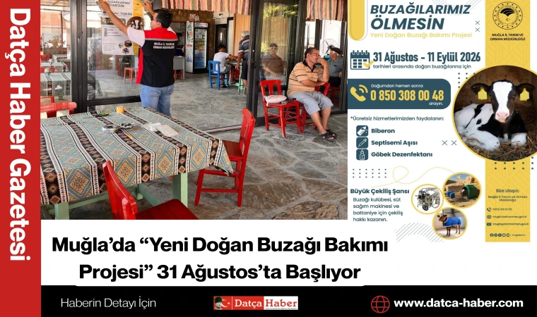 Muğla’da “Yeni Doğan Buzağı Bakımı Projesi” 31 Ağustos’ta Başlıyor