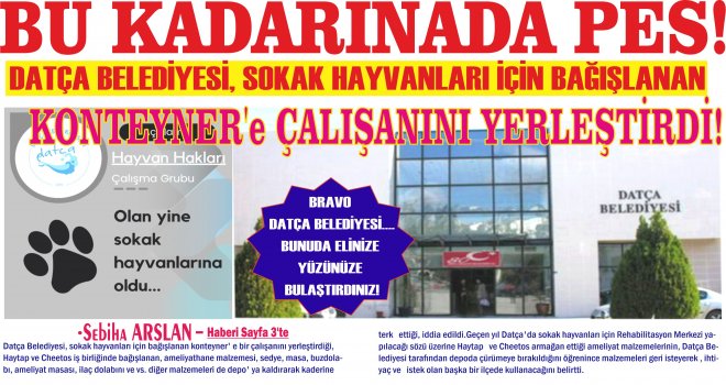 BU KADARINADA PES! DATÇA BELEDİYESİ, SOKAK HAYVANLARI İÇİN BAĞIŞLANAN KONTEYNER' E ÇALIŞANINI YERLEŞTİRDİ!