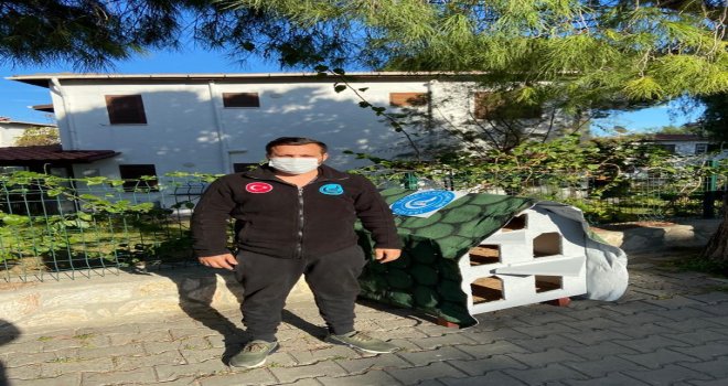 DATÇA ÜLKÜ OCAKLARINDAN SOKAK HAYVANLARI İÇİN MAMA VE KULÜBE DESTEĞİ