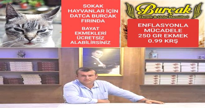 DATÇA' DA Kİ SOKAK HAYVANLARININ İMDADI’NA BİR SEFERBERLİK’TE DATÇA BURÇAK FIRINDAN GELDİ.HER GÜN 100 EKMEĞİ SOKAK HAYVANLARINA ULAŞTIRIYOR