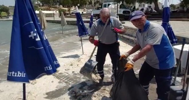 DATÇA SAHİLİNDE ÜR­KÜ­TÜ­CÜ GÖ­RÜN­TÜ