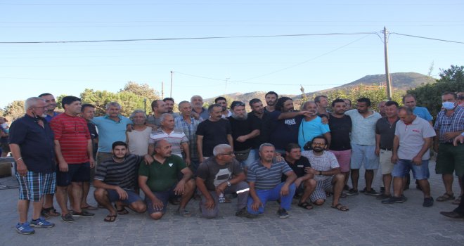Datça ''Sa­na­yi ağacı hey­ke­li'' açı­lı­şı ya­pıl­dı