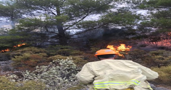Datça'da yıldırım düşmesi sonucu 1 hektar orman yandı