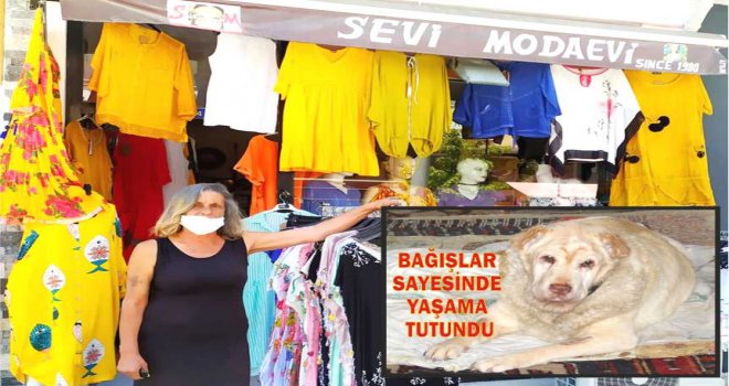 DATÇALI YARDIM SEVERLERDEN KANSER TEDAVİSİ GÖREN KÖPEĞE YARDIM ELİ