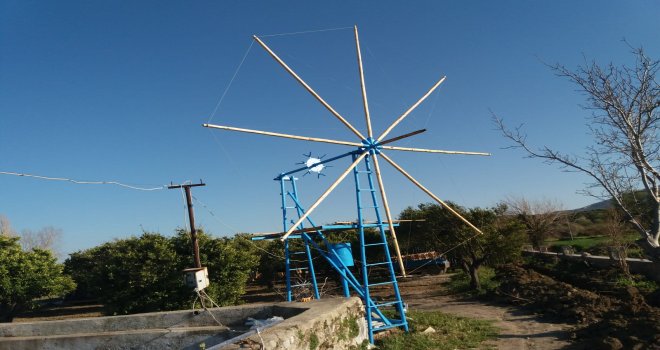 DATÇA'MIZDA ÇOK NA­DİR­DE OLSA, KÜÇÜK