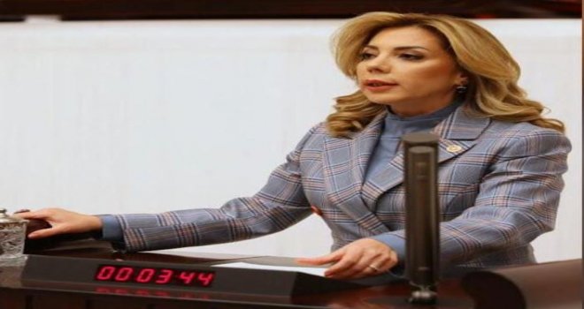MİLLETVEKİLİ GÖKCAN TBMM'DE, DATÇA' NIN İÇME SUYU VE KANALIZASYON SORUNUNU DİLE GETİRDİ