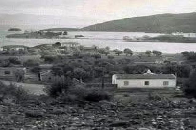 UZUN YAŞAM VE DATÇA (3)