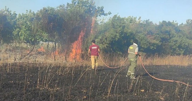 17 DÖNÜM EKİN TARLASI YANARAK ZARAR GÖRDÜ