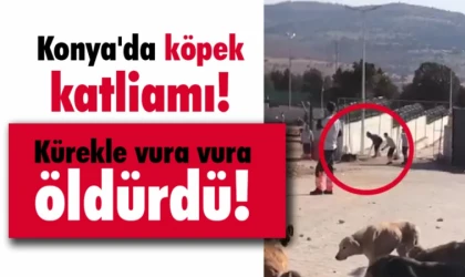 DATÇA HAY­VAN SE­VEN­LER DER­NEĞİN'DEN KONYA VE MAMAK'TA YA­ŞA­NAN VAH­ŞE­TE KI­NA­MA