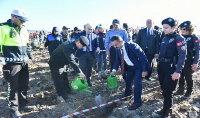 Fidanlar toprakla buluşturuldu