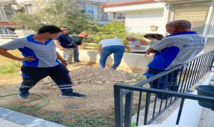 DRENAJ BORUSUNDA MAHSUR KALAN KEDİ YAVRUSU KURTARILDI