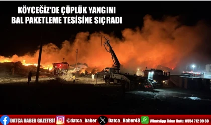 KÖYCEĞİZ'DE ÇÖPLÜK YANGINI BAL PAKETLEME TESİSİNE SIÇRADI