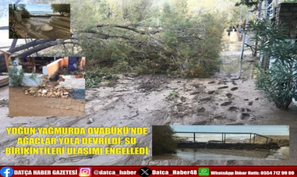 YOĞUN YAĞMURDA OVABÜKÜ’NDE AĞAÇLAR YOLA DEVRİLDİ, SU BİRİKİNTİLERİ ULAŞIMI ENGELLEDİ