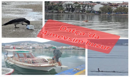 DATÇA'DA 4 MEVSİM BİR ARADA! YAĞIŞA RAĞMEN DENİZ KEYFİ YAPTI
