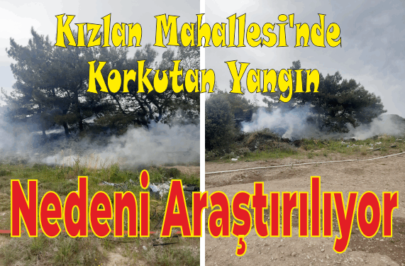 ZİRAAT ALANINDA YANGIN! 1  DÖNÜM ALAN  ZARAR GÖRDÜ