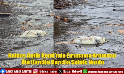 Knidos Antik Kenti’nde Fırtınanın Ardından Ölü Caretta Caretta Sahile Vurdu