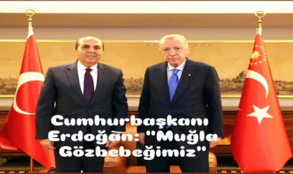 Prof. Dr. Aydın Ayaydın Cumhurbaşkanı Erdoğan ile Görüştü: Muğla’nın Öncelikli Sorunları Masaya Yatırıldı