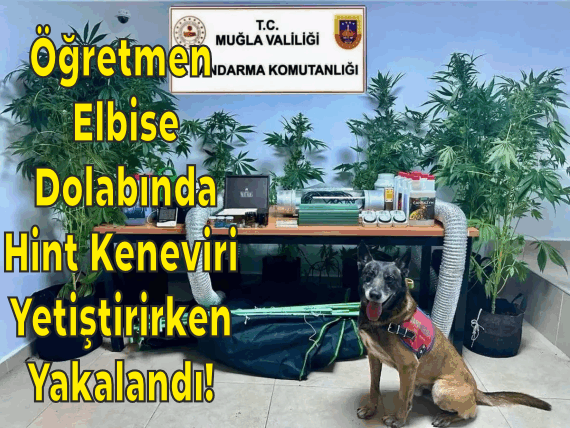 SINIF ÖĞRETMENİ UYUŞTURUCU OPERASYONUNDA YAKALANDI!