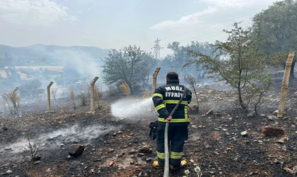 MUĞLA'DA ANIZ YANGINLARINA KARŞI ALARM: 6 AYDA 380 MÜDAHALE