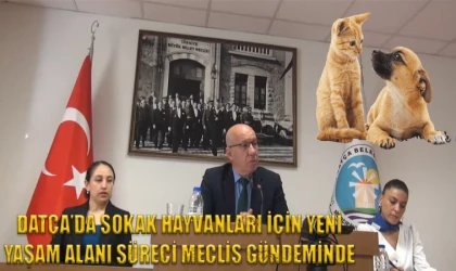 DATÇA’DA SOKAK HAYVANLARI İÇİN YENİ YAŞAM ALANI SÜRECİ MECLİS GÜNDEMİNDE