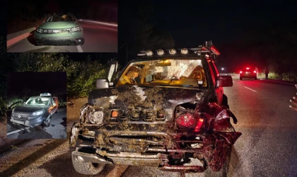 DATÇA’DA TRAFİK KAZASINDA ARAÇLAR HASAR GÖRDÜ, EŞEK TELEF OLDU