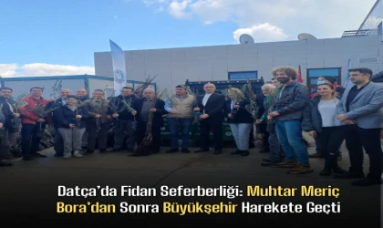 Datça’da Fidan Seferberliği: Muhtar Meriç Bora’dan Sonra Büyükşehir Harekete Geçti