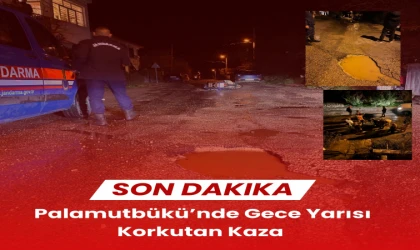 Palamutbükü’nde Gece Yarısı Korkutan Kaza