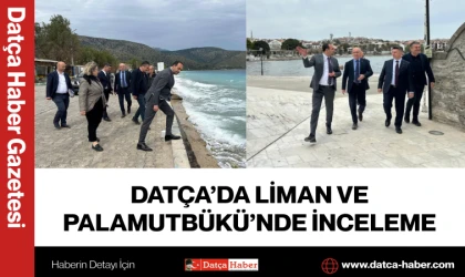 DATÇA’DA LİMAN VE PALAMUTBÜKÜ’NDE İNCELEME